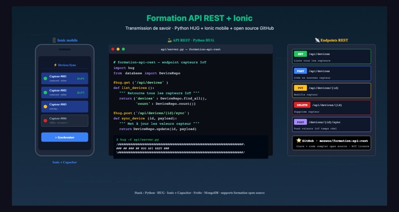 Formation API REST Python + Ionic + Svelte — visuel additionnel