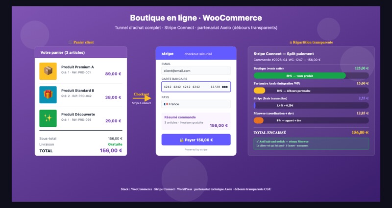 Plugins WordPress + WooCommerce sur mesure — visuel additionnel